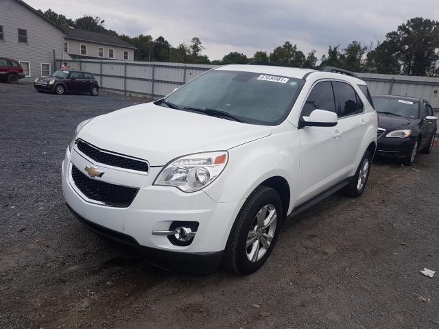 Photo 1 VIN: 2GNALCEK0E6129207 - CHEVROLET EQUINOX LT 