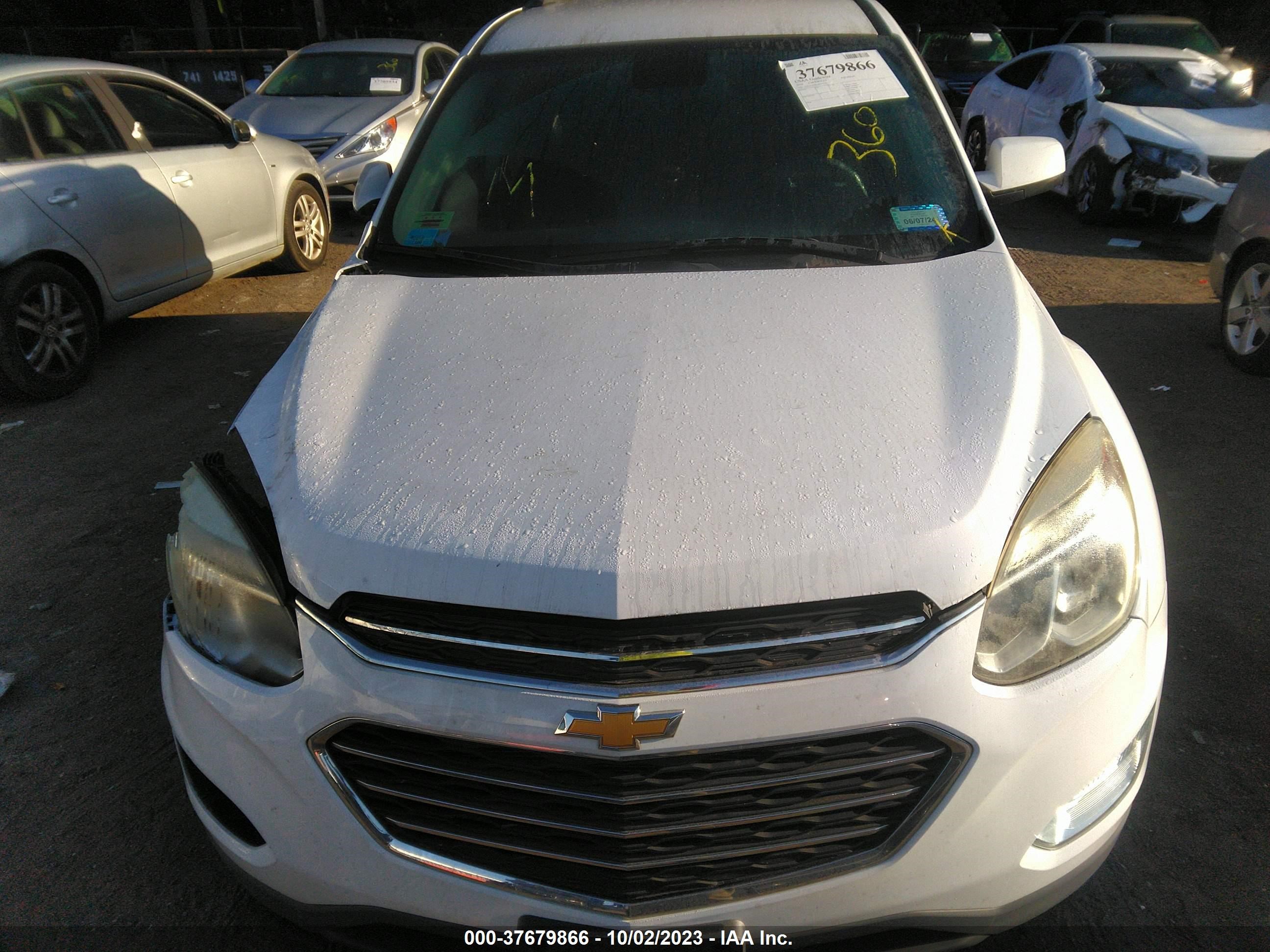 Photo 11 VIN: 2GNALCEK1G6207335 - CHEVROLET EQUINOX 