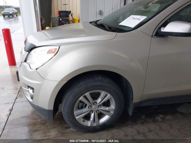 Photo 1 VIN: 2GNALCEK2E6214341 - CHEVROLET EQUINOX 