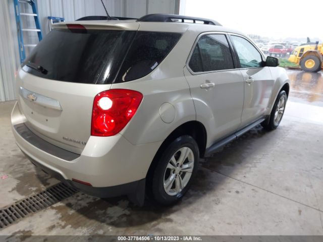 Photo 3 VIN: 2GNALCEK2E6214341 - CHEVROLET EQUINOX 