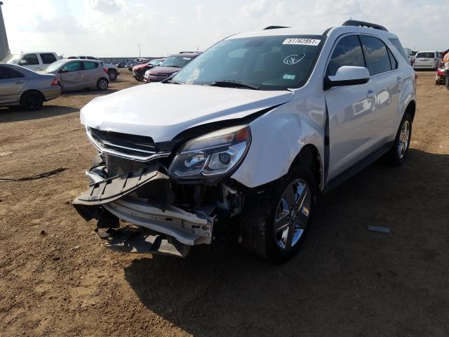 Photo 1 VIN: 2GNALCEK3G6116163 - CHEVROLET EQUINOX LT 