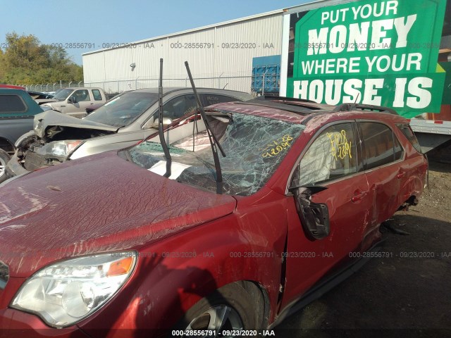 Photo 5 VIN: 2GNALCEK4F6151146 - CHEVROLET EQUINOX 