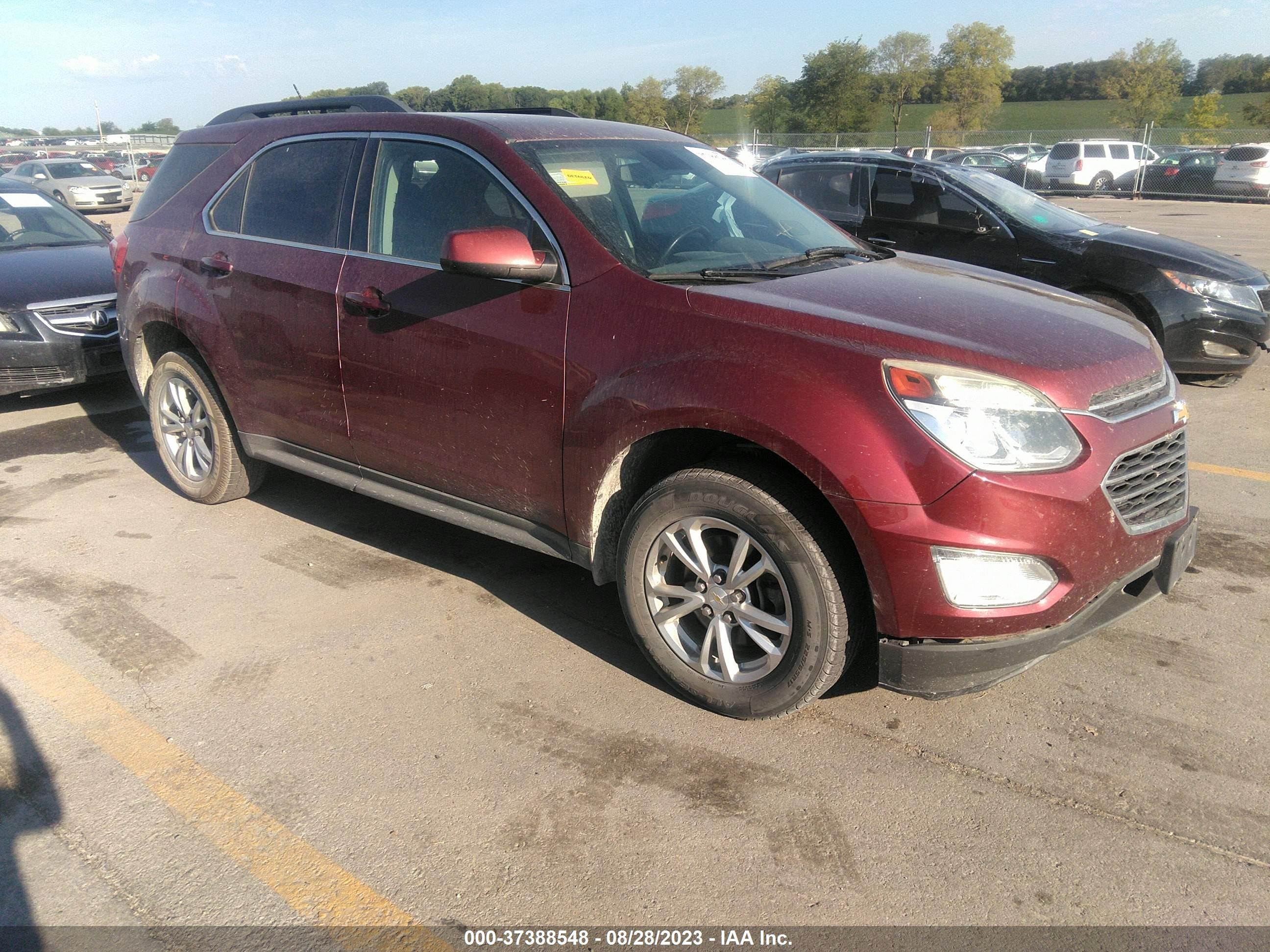 Photo 12 VIN: 2GNALCEK6G6276697 - CHEVROLET EQUINOX 