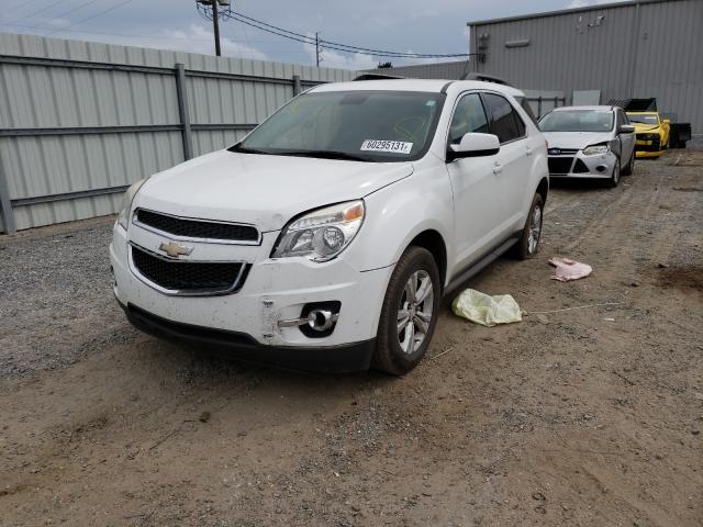 Photo 1 VIN: 2GNALCEK9F1144884 - CHEVROLET EQUINOX LT 