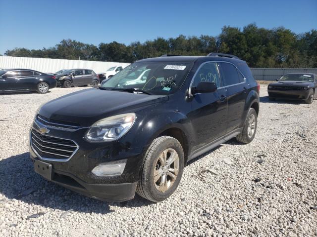 Photo 8 VIN: 2GNALCEK9G6240969 - CHEVROLET EQUINOX LT 