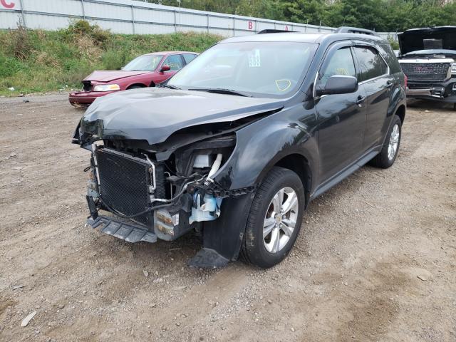 Photo 1 VIN: 2GNALDEC3B1294787 - CHEVROLET EQUINOX LT 