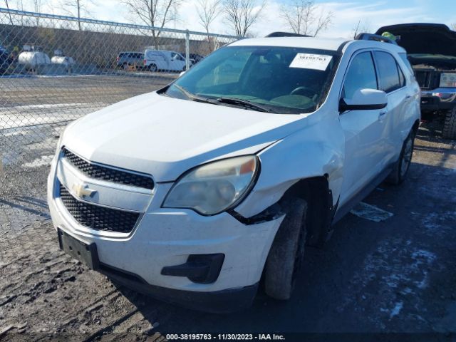 Photo 1 VIN: 2GNALDEC6B1144186 - CHEVROLET EQUINOX 