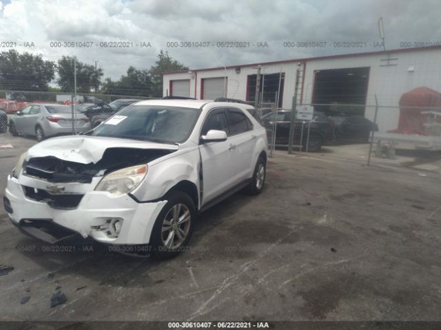 Photo 1 VIN: 2GNALDEC6B1335705 - CHEVROLET EQUINOX 