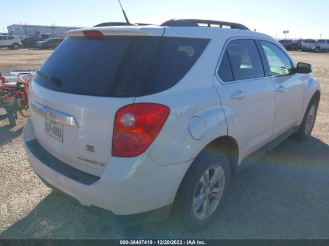 Photo 3 VIN: 2GNALDEC7B1230140 - CHEVROLET EQUINOX 