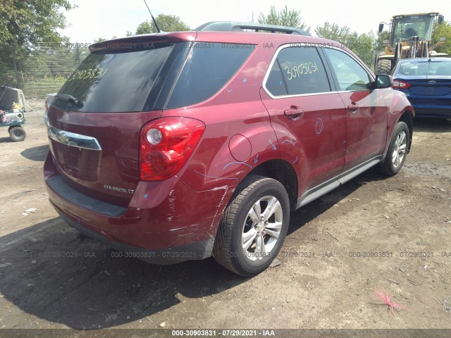 Photo 3 VIN: 2GNALDEK1C6203656 - CHEVROLET EQUINOX 