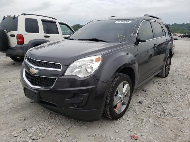 Photo 1 VIN: 2GNALDEK1D6243012 - CHEVROLET EQUINOX LT 