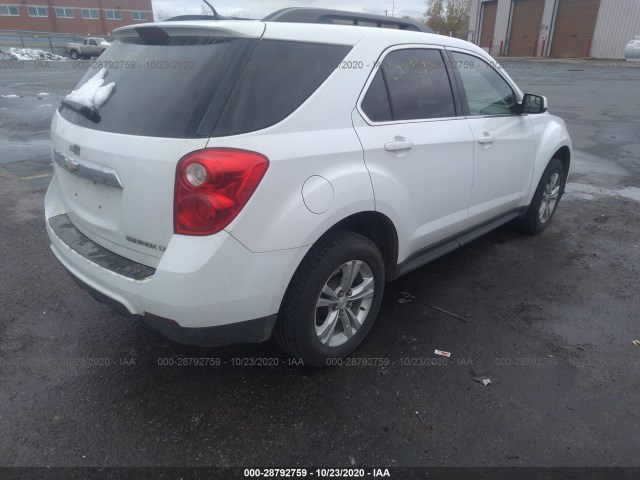 Photo 3 VIN: 2GNALDEK2D6243889 - CHEVROLET EQUINOX 