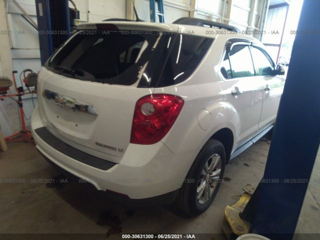 Photo 3 VIN: 2GNALDEK3D6106783 - CHEVROLET EQUINOX 