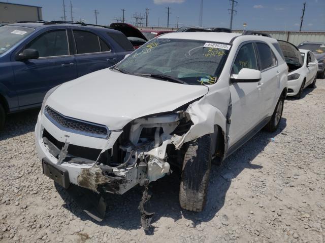 Photo 1 VIN: 2GNALDEK3D6354869 - CHEVROLET EQUINOX LT 