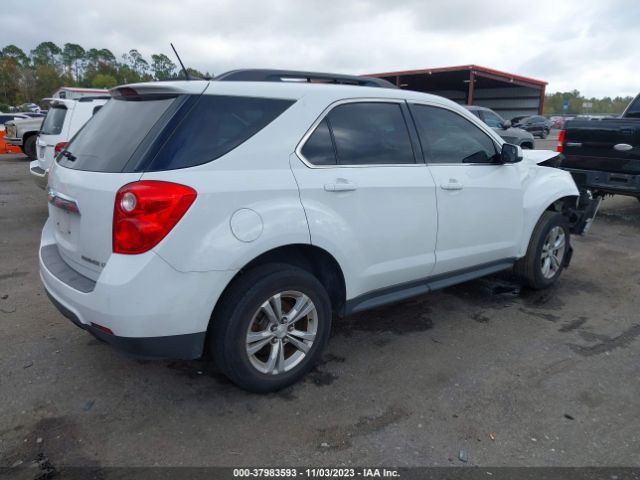 Photo 3 VIN: 2GNALDEK4D1130345 - CHEVROLET EQUINOX 