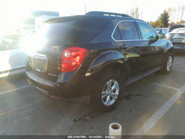 Photo 3 VIN: 2GNALDEK4D6117551 - CHEVROLET EQUINOX 