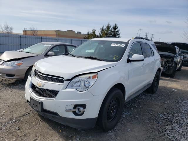 Photo 1 VIN: 2GNALDEK5C6184030 - CHEVROLET EQUINOX LT 