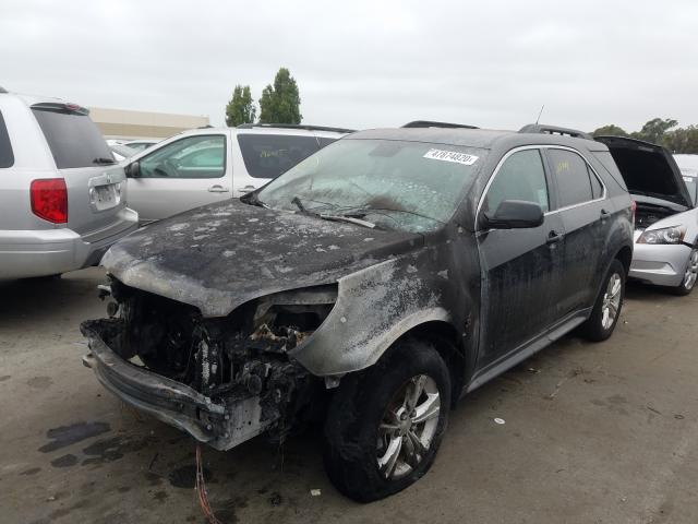 Photo 1 VIN: 2GNALDEK6D6121939 - CHEVROLET EQUINOX LT 