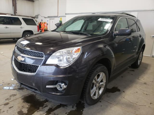 Photo 1 VIN: 2GNALDEK7D6362554 - CHEVROLET EQUINOX LT 