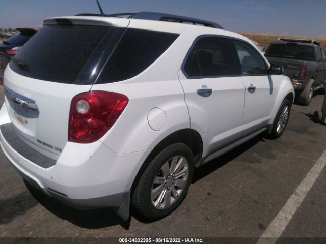 Photo 3 VIN: 2GNALFEC1B1316264 - CHEVROLET EQUINOX 