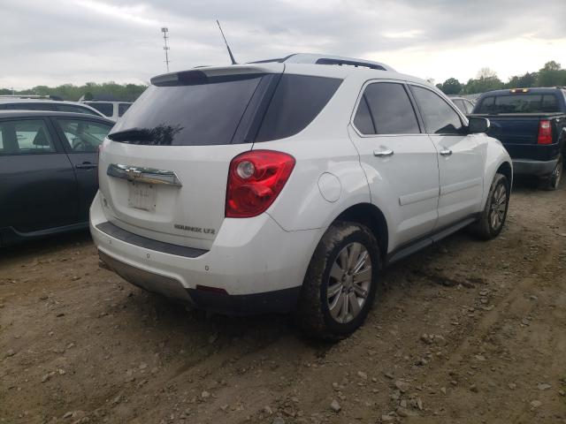 Photo 3 VIN: 2GNALFEC6B1150517 - CHEVROLET EQUINOX LT 