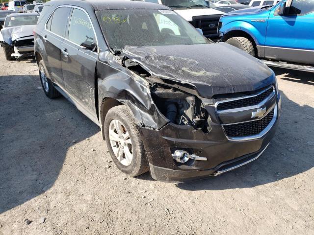 Photo 8 VIN: 2GNALFEK4D6418011 - CHEVROLET EQUINOX LT 