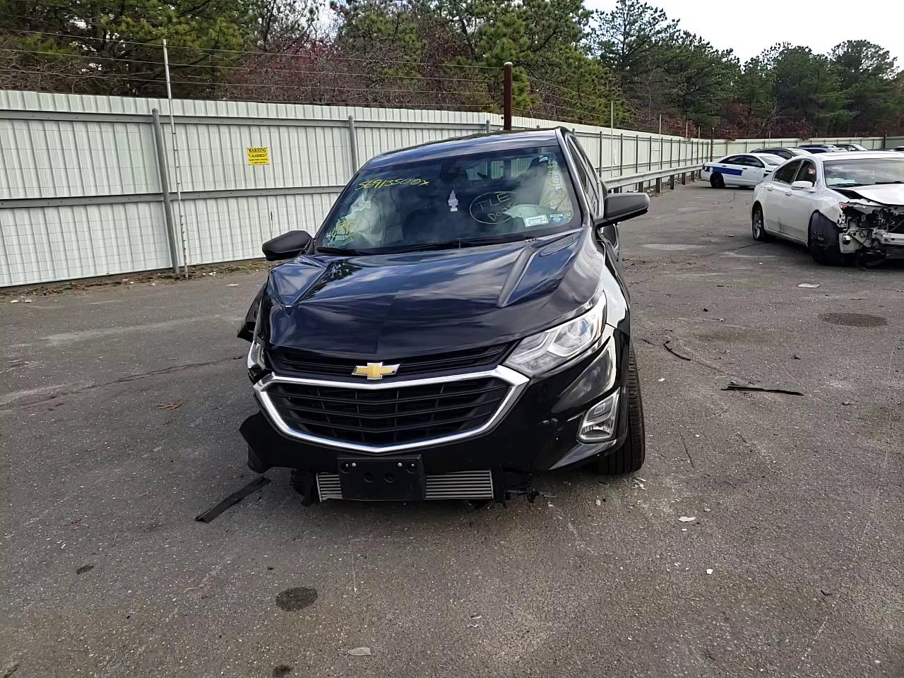 Photo 10 VIN: 2GNAXHEV8L6102135 - CHEVROLET EQUINOX LS 