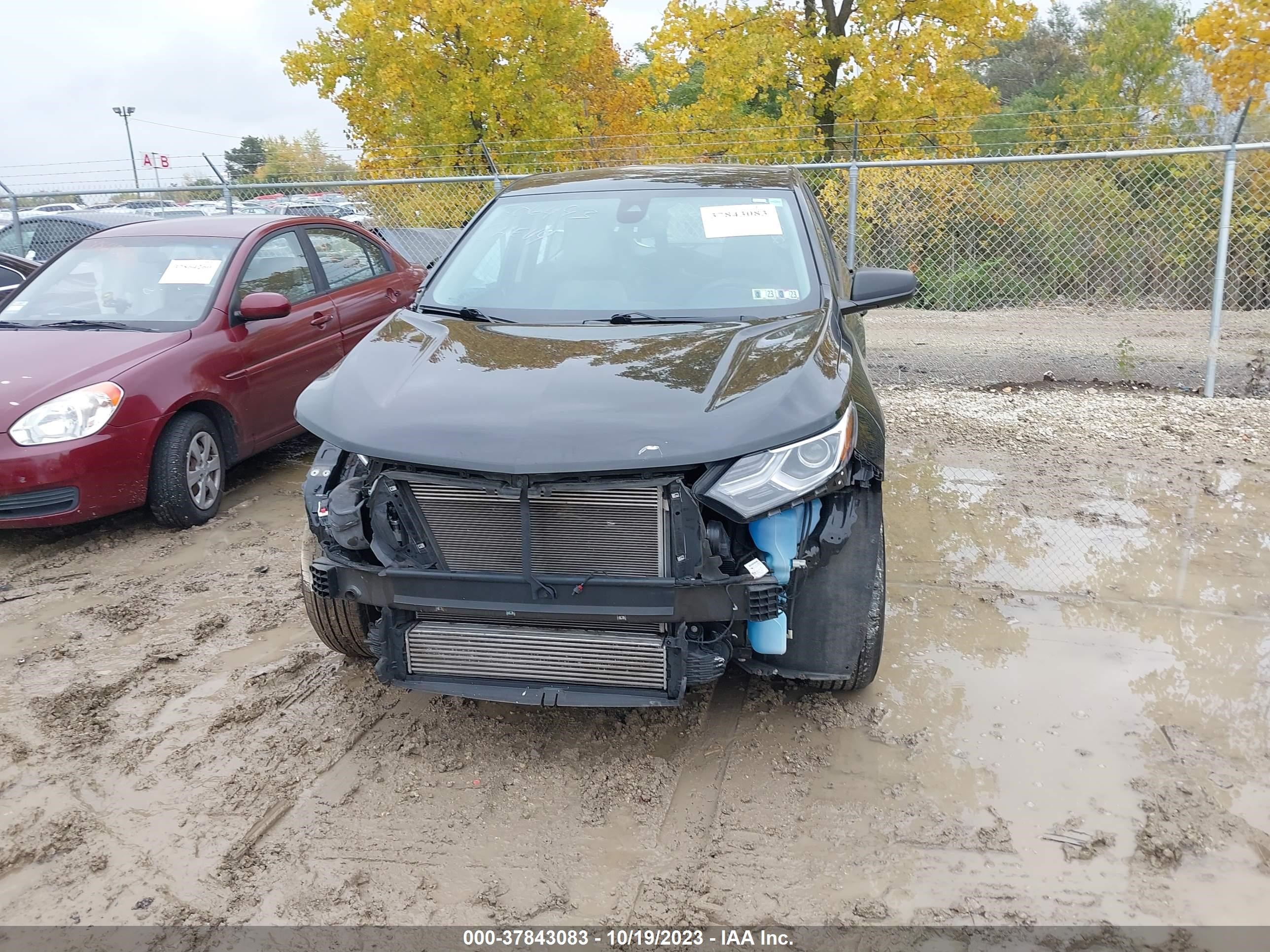 Photo 12 VIN: 2GNAXHEV9L6248611 - CHEVROLET EQUINOX 