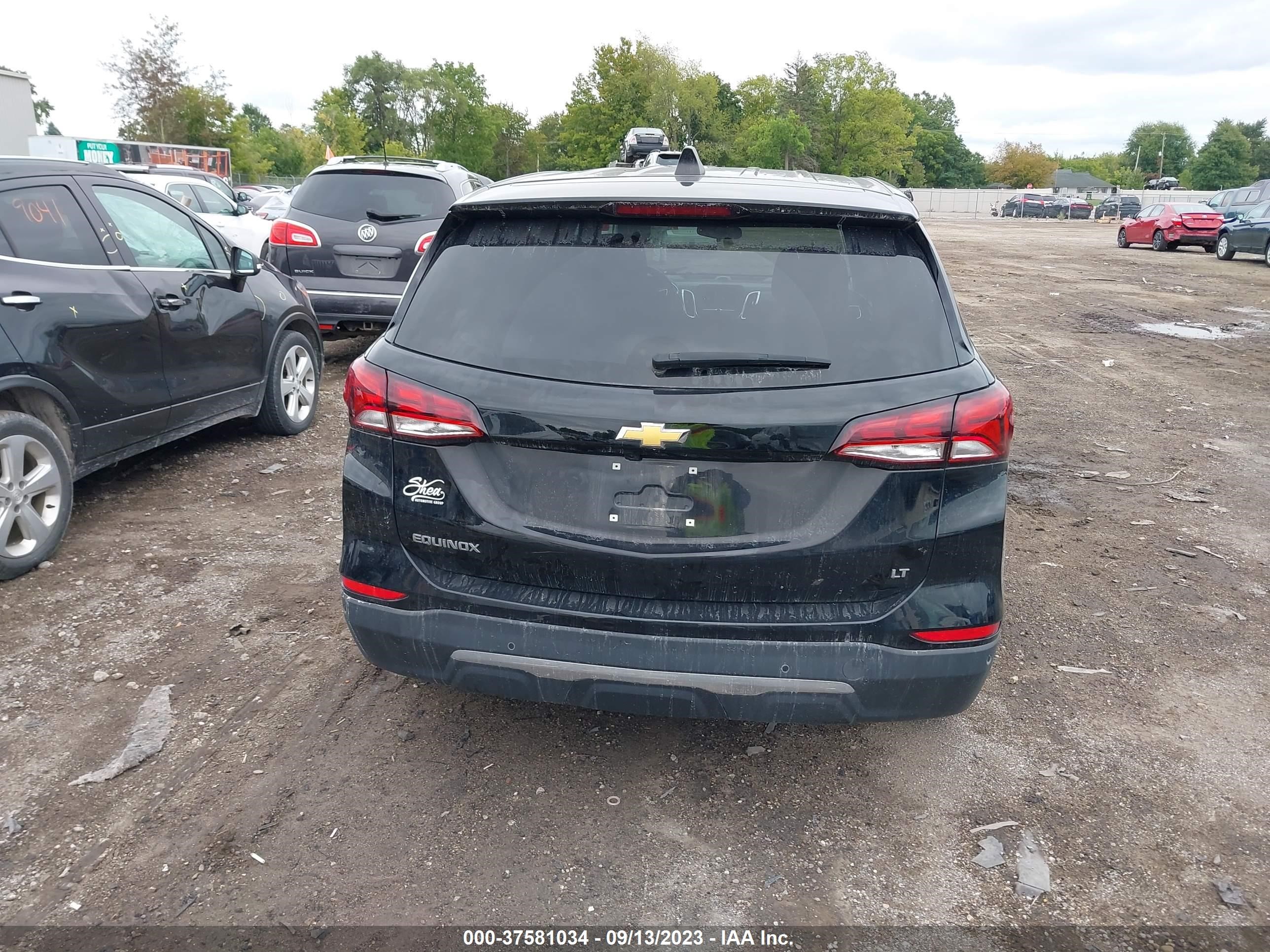 Photo 15 VIN: 2GNAXJEV2N6103307 - CHEVROLET EQUINOX 