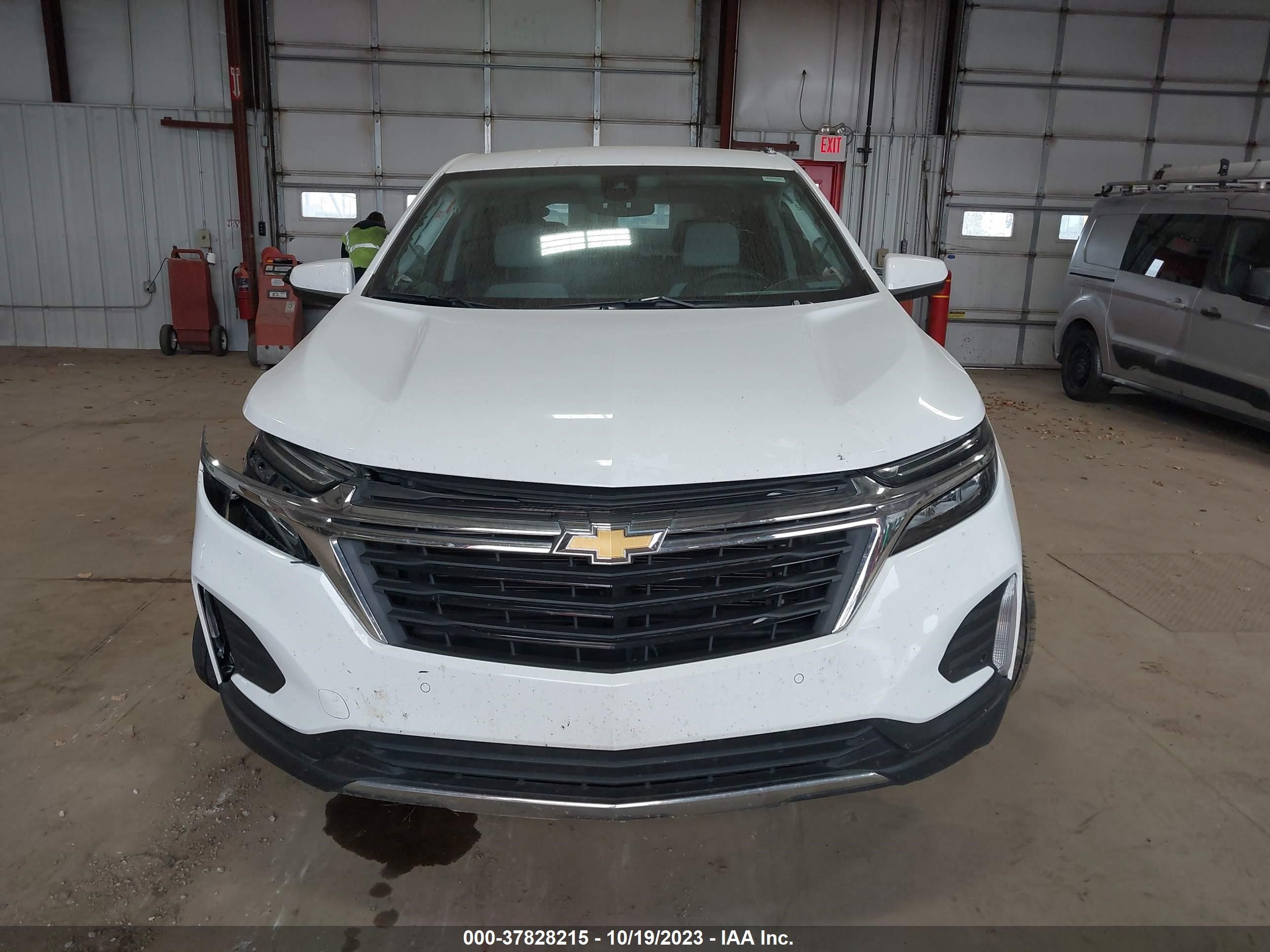 Photo 12 VIN: 2GNAXJEV8N6132472 - CHEVROLET EQUINOX 