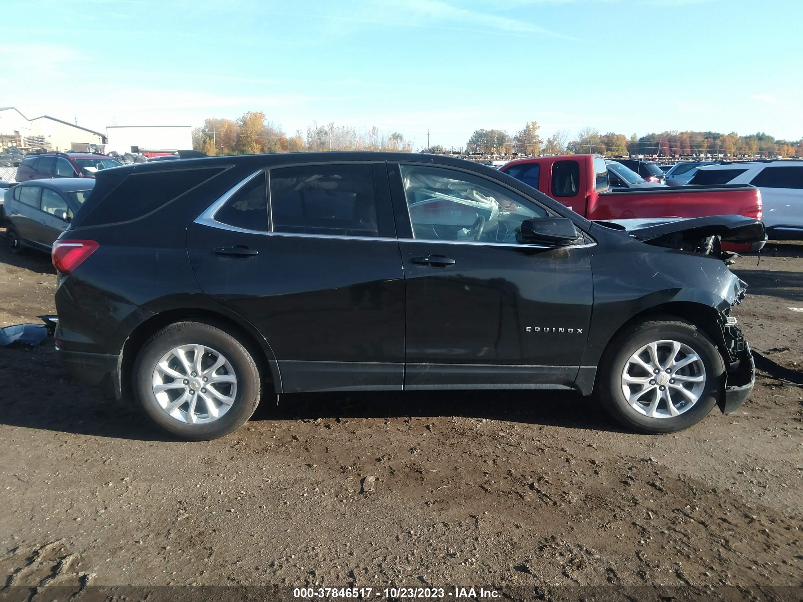 Photo 13 VIN: 2GNAXJEVXL6196509 - CHEVROLET EQUINOX 