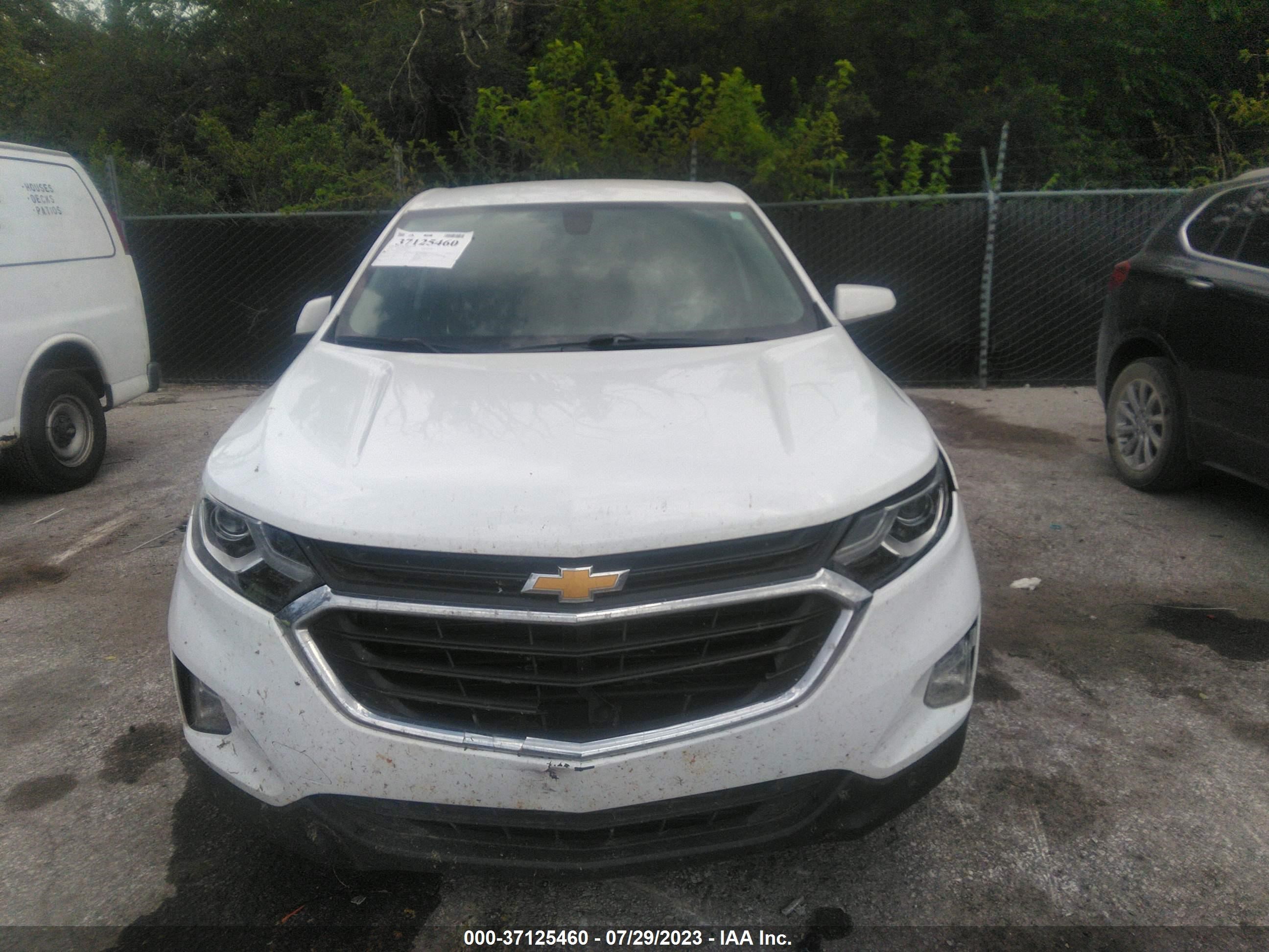 Photo 12 VIN: 2GNAXKEV2K6118276 - CHEVROLET EQUINOX 