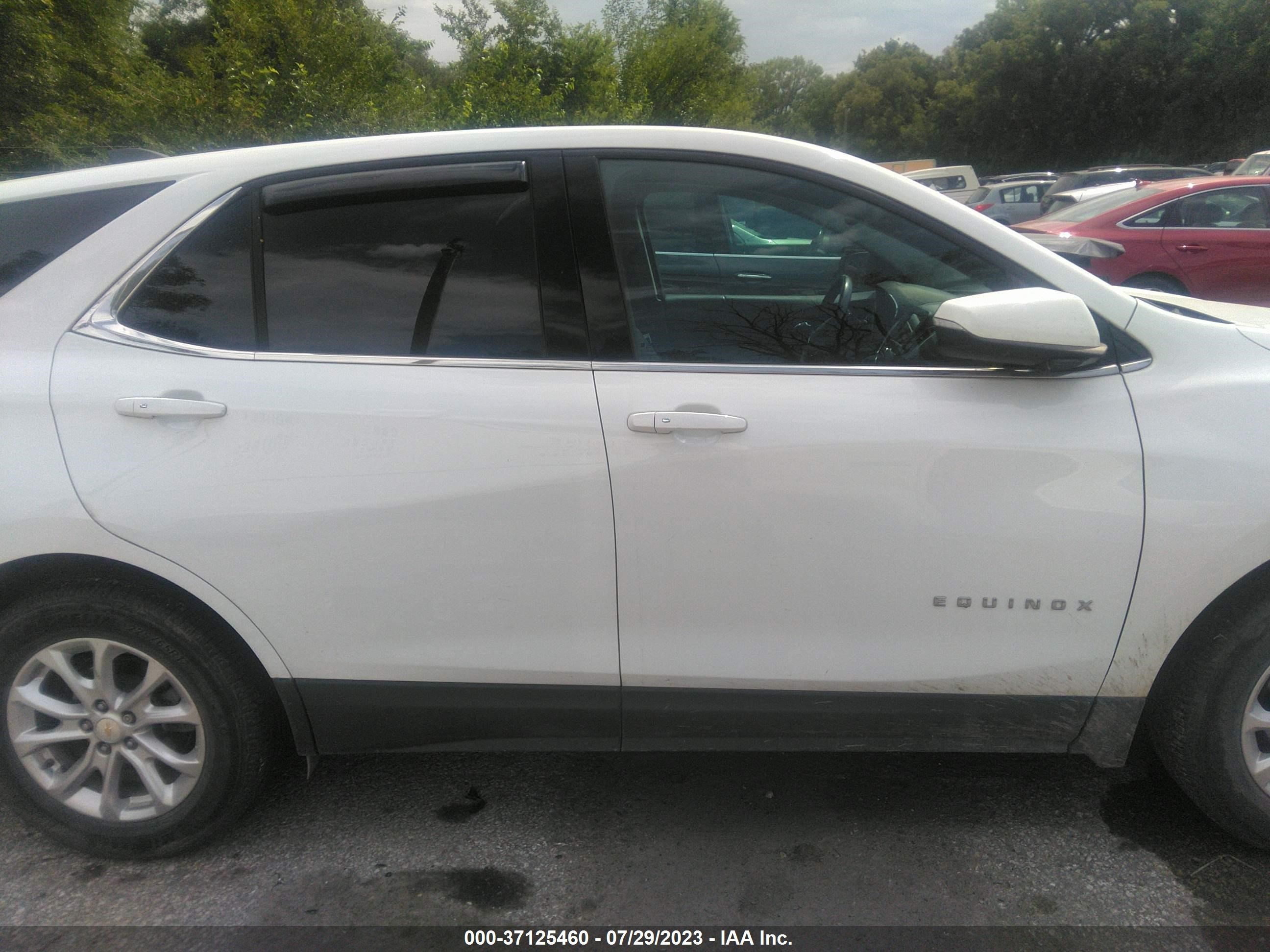 Photo 13 VIN: 2GNAXKEV2K6118276 - CHEVROLET EQUINOX 