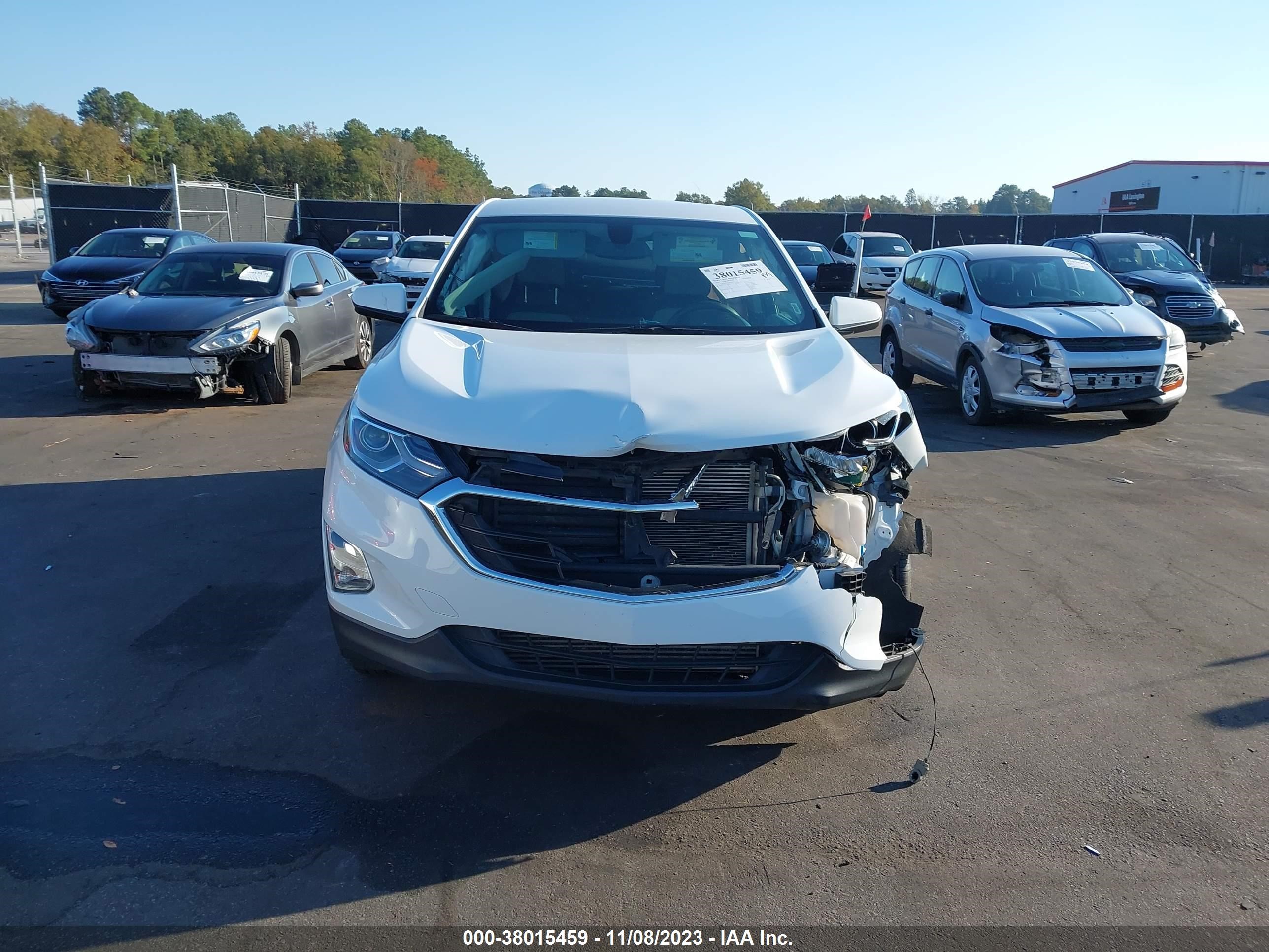 Photo 11 VIN: 2GNAXKEV2K6162570 - CHEVROLET EQUINOX 