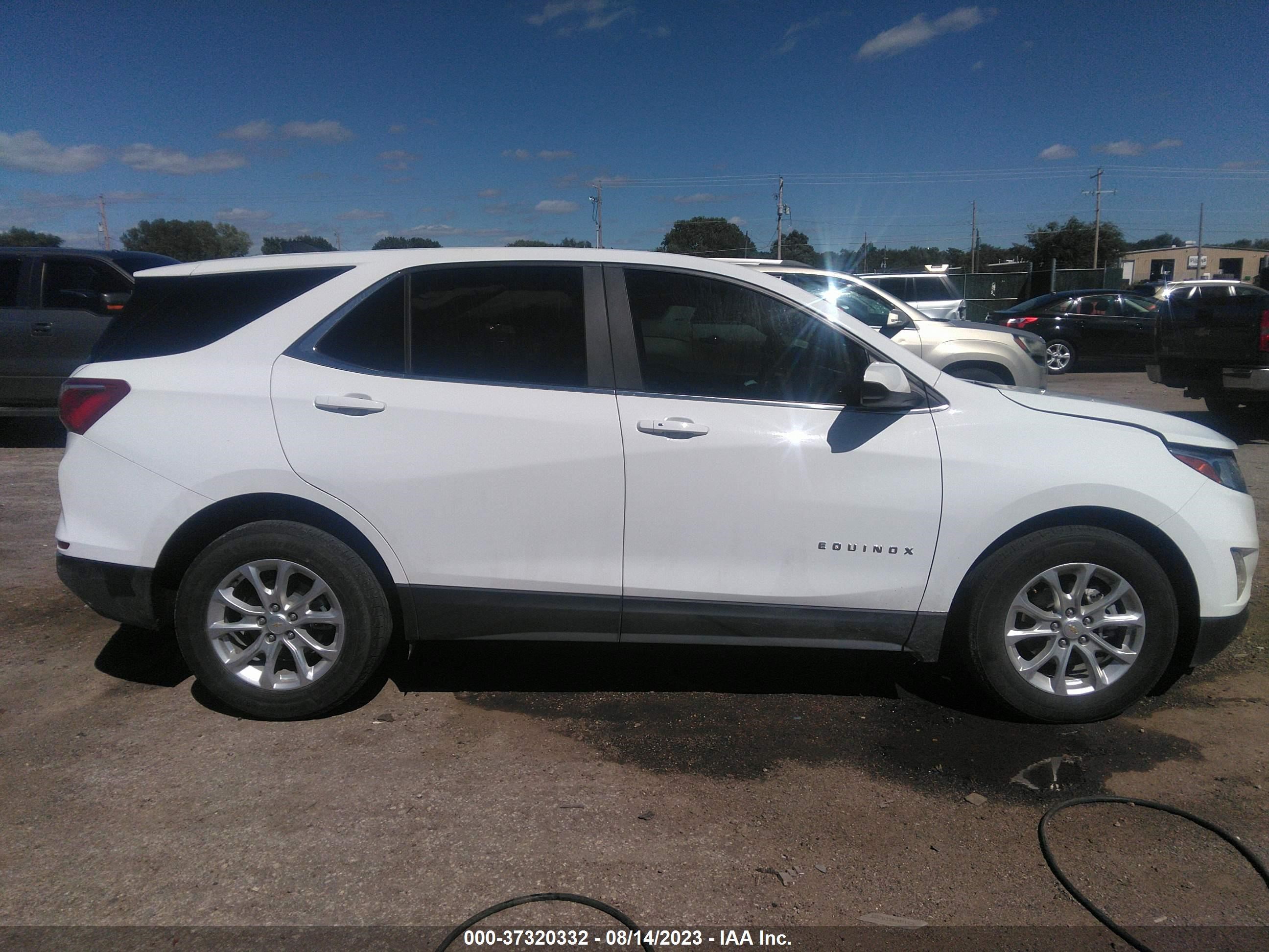 Photo 12 VIN: 2GNAXKEV7M6145606 - CHEVROLET EQUINOX 