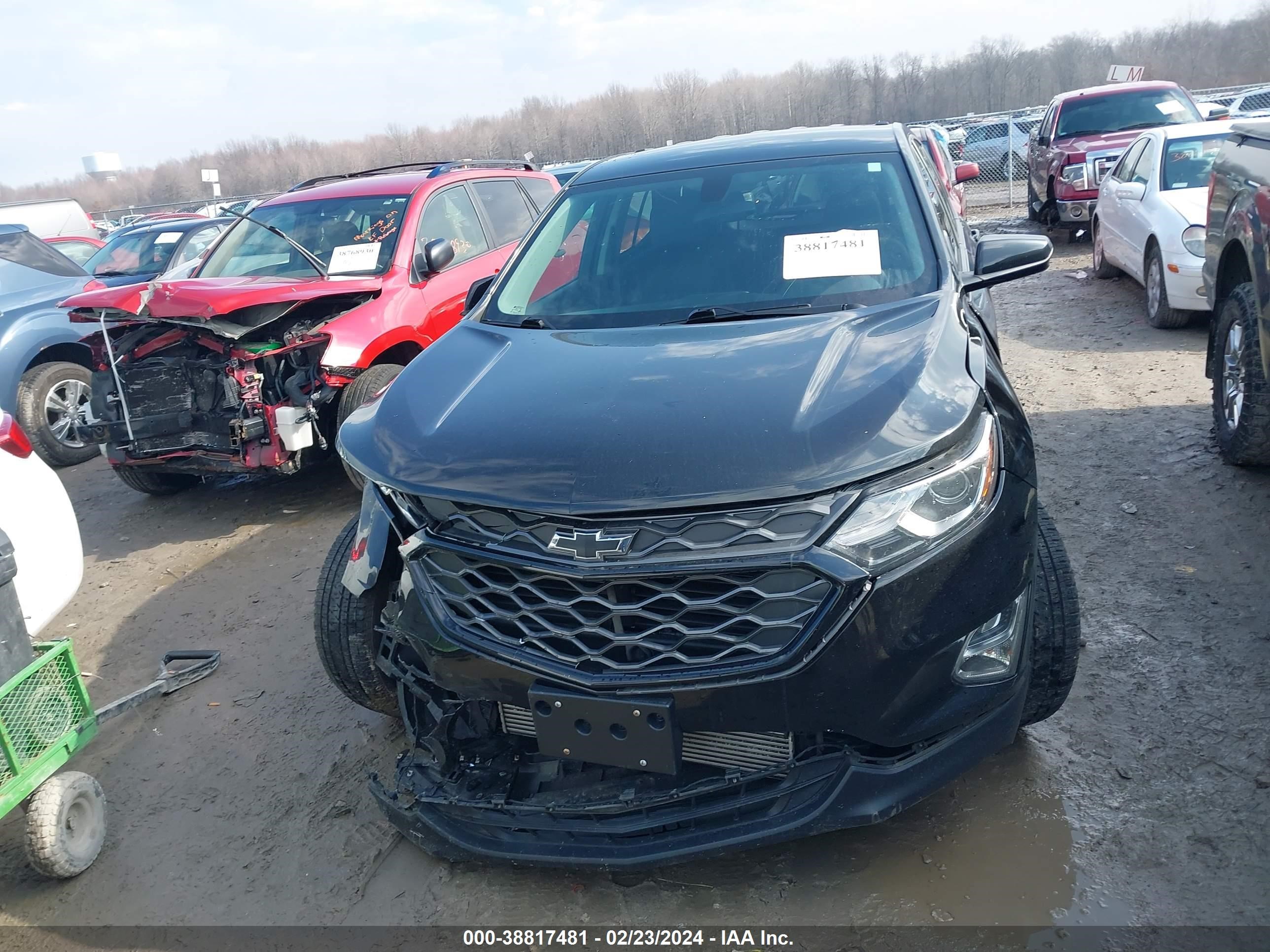 Photo 11 VIN: 2GNAXLEXXK6108683 - CHEVROLET EQUINOX 