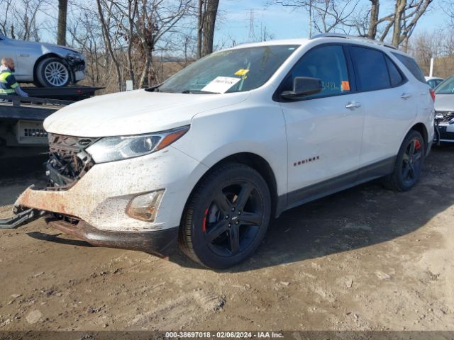 Photo 1 VIN: 2GNAXNEV4L6174531 - CHEVROLET EQUINOX 