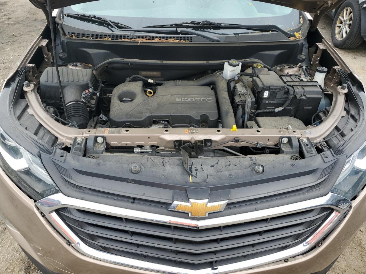 Photo 11 VIN: 2GNAXSEV2J6246127 - CHEVROLET EQUINOX 