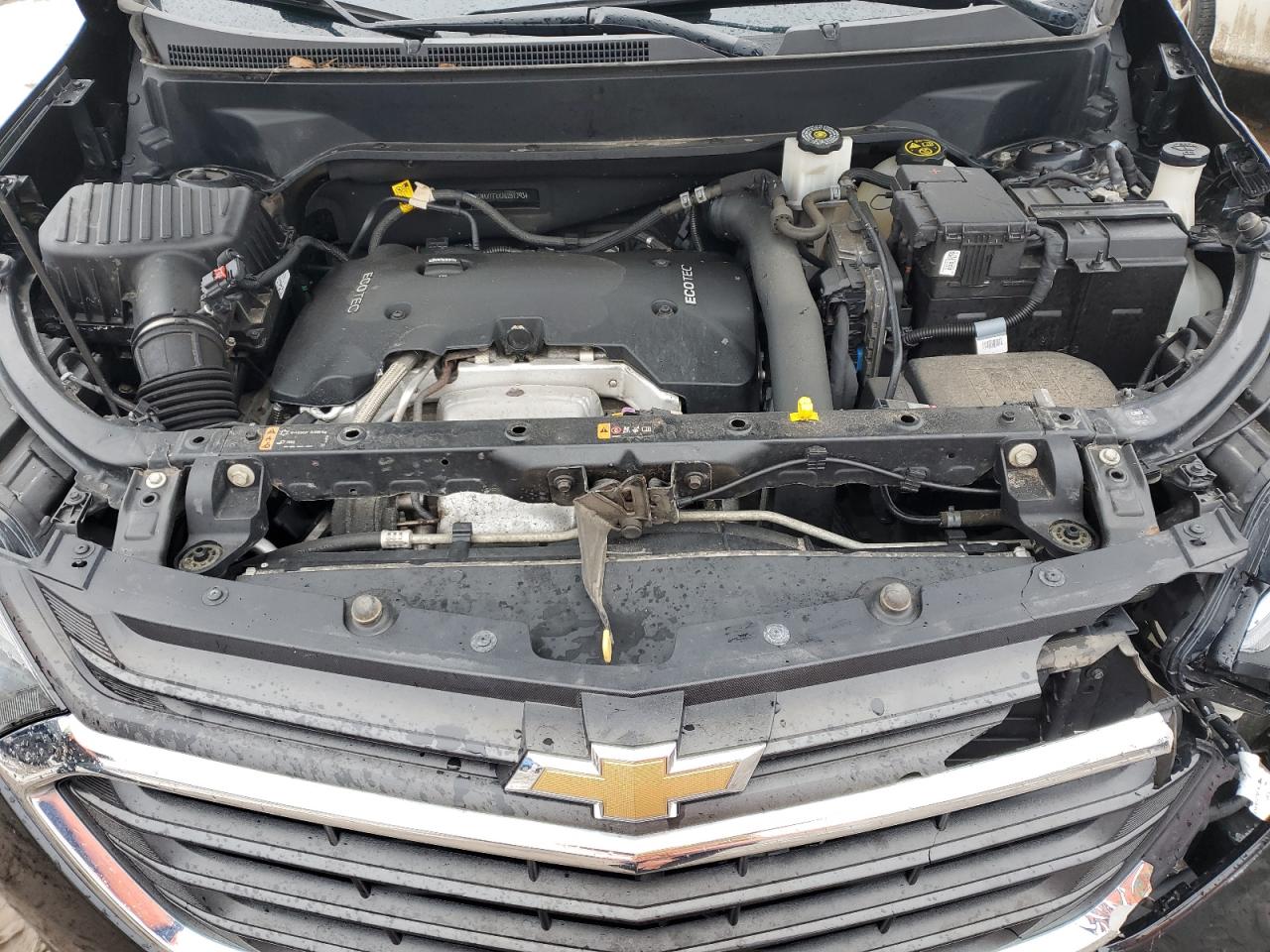 Photo 11 VIN: 2GNAXTEXXJ6251793 - CHEVROLET EQUINOX 