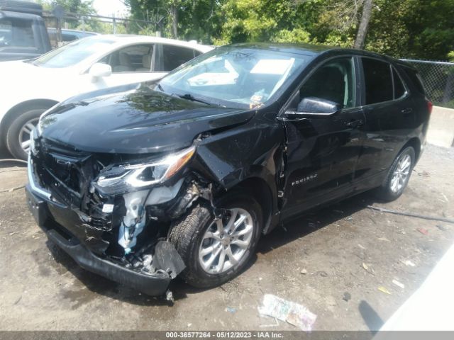 Photo 1 VIN: 2GNAXUEV0M6123507 - CHEVROLET EQUINOX 