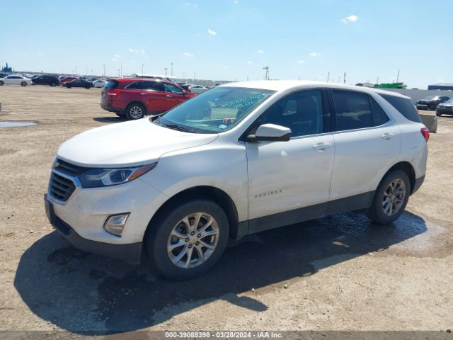 Photo 1 VIN: 2GNAXUEV1L6239300 - CHEVROLET EQUINOX 