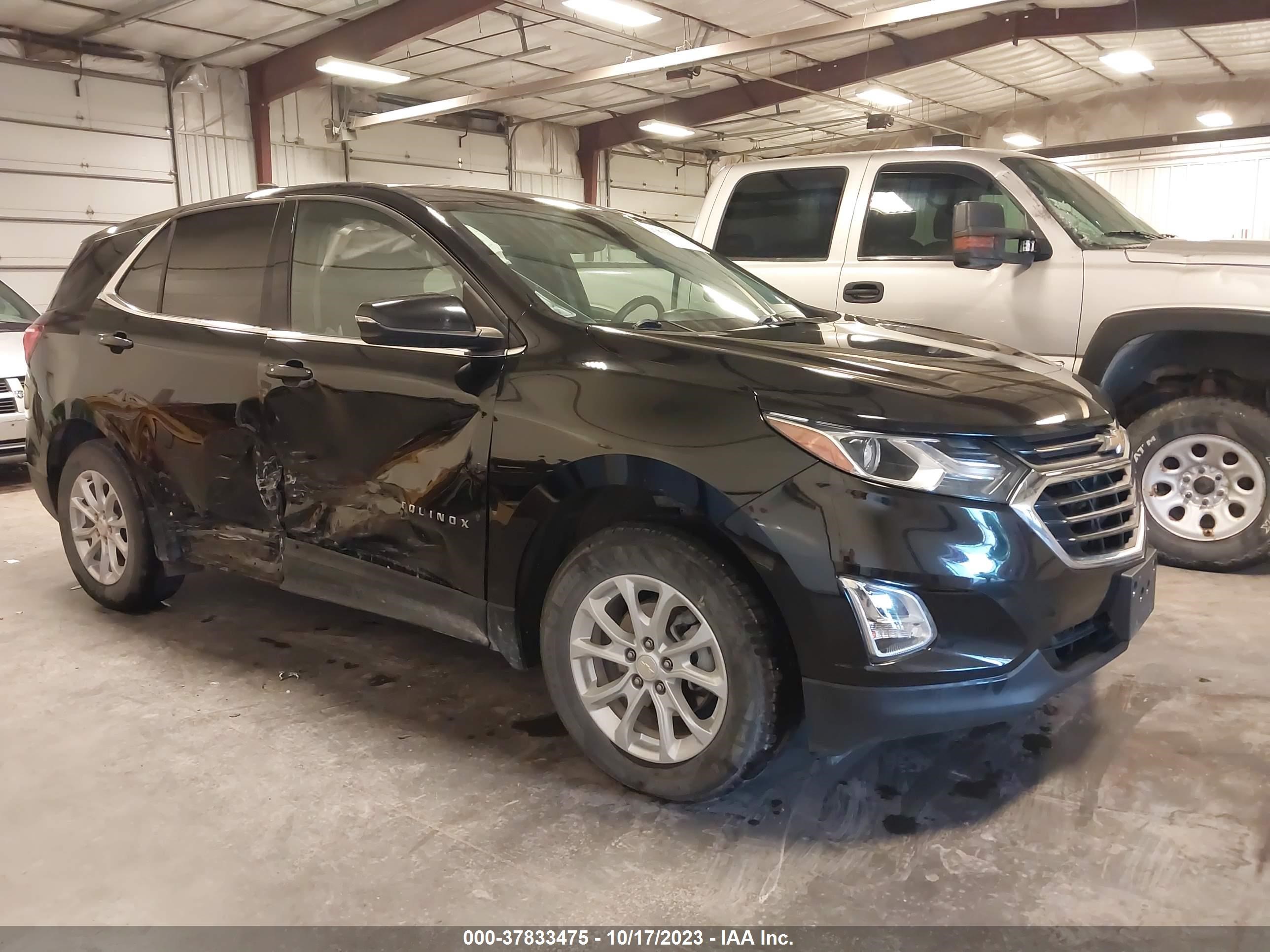 Photo 12 VIN: 2GNAXUEV3K6253391 - CHEVROLET EQUINOX 