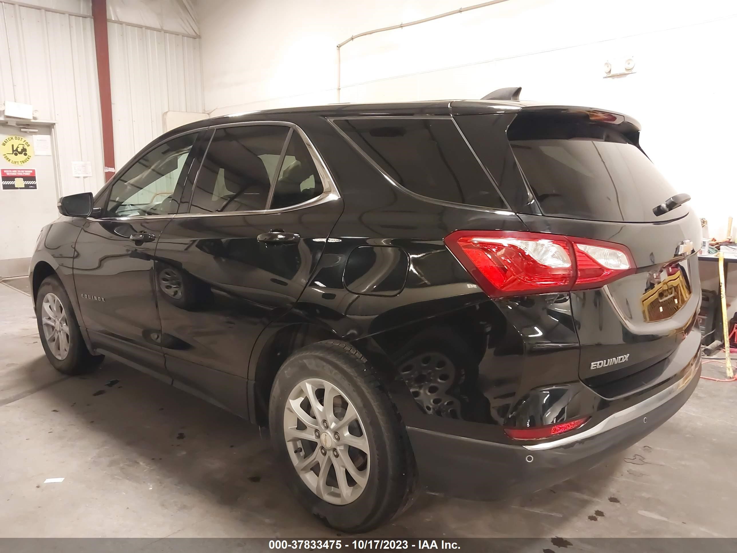 Photo 13 VIN: 2GNAXUEV3K6253391 - CHEVROLET EQUINOX 