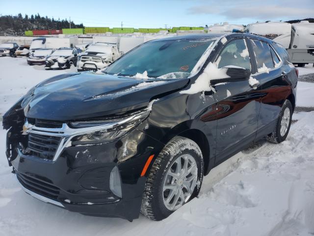 Photo 1 VIN: 2GNAXUEV3N6103043 - CHEVROLET EQUINOX LT 