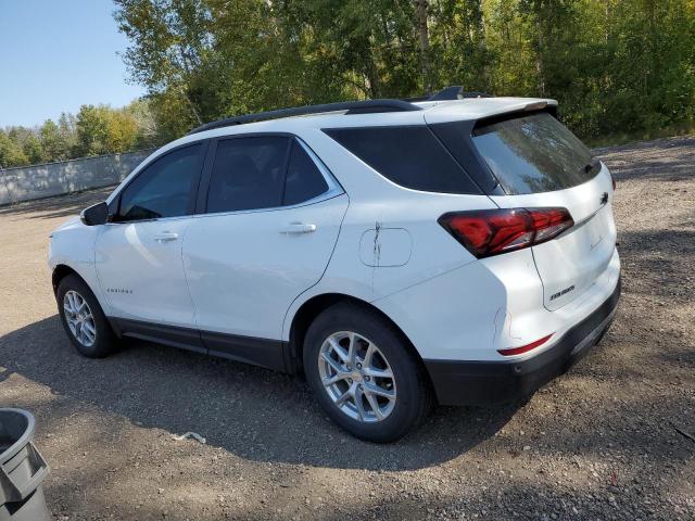 Photo 1 VIN: 2GNAXUEV3N6110851 - CHEVROLET EQUINOX LT 