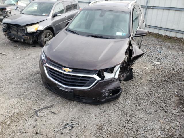 Photo 8 VIN: 2GNAXUEV8L6249158 - CHEVROLET EQUINOX LT 