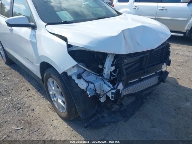 Photo 5 VIN: 2GNAXUEV8N6131274 - CHEVROLET EQUINOX 