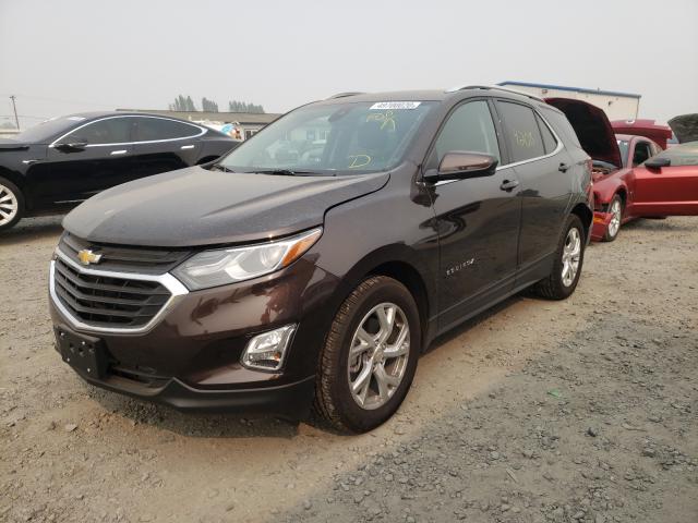 Photo 1 VIN: 2GNAXVEX0L6206683 - CHEVROLET EQUINOX LT 