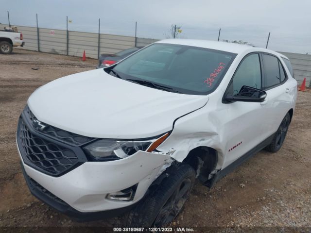 Photo 1 VIN: 2GNAXVEXXK6298450 - CHEVROLET EQUINOX 