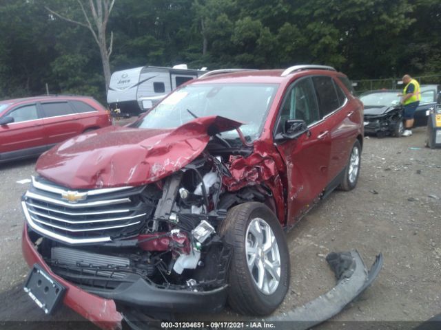 Photo 1 VIN: 2GNAXXEV2M6157093 - CHEVROLET EQUINOX 